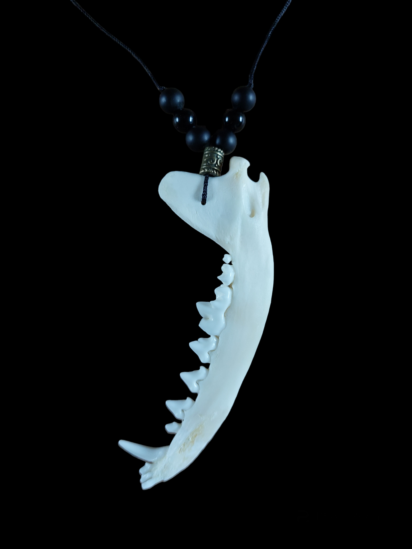 Fox jaw bone and obsidian amulet necklace