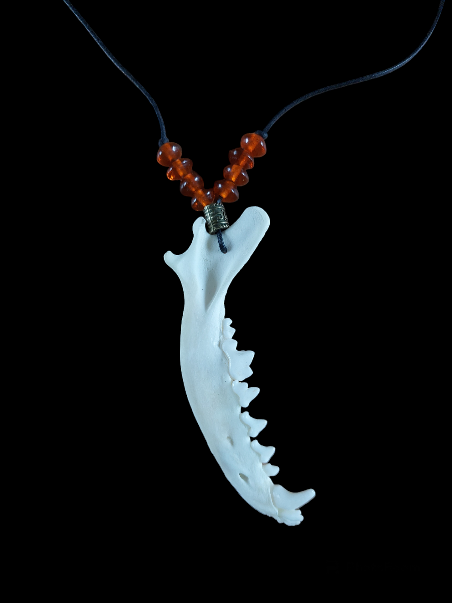 Fox jaw bone and glass beads amulet necklace
