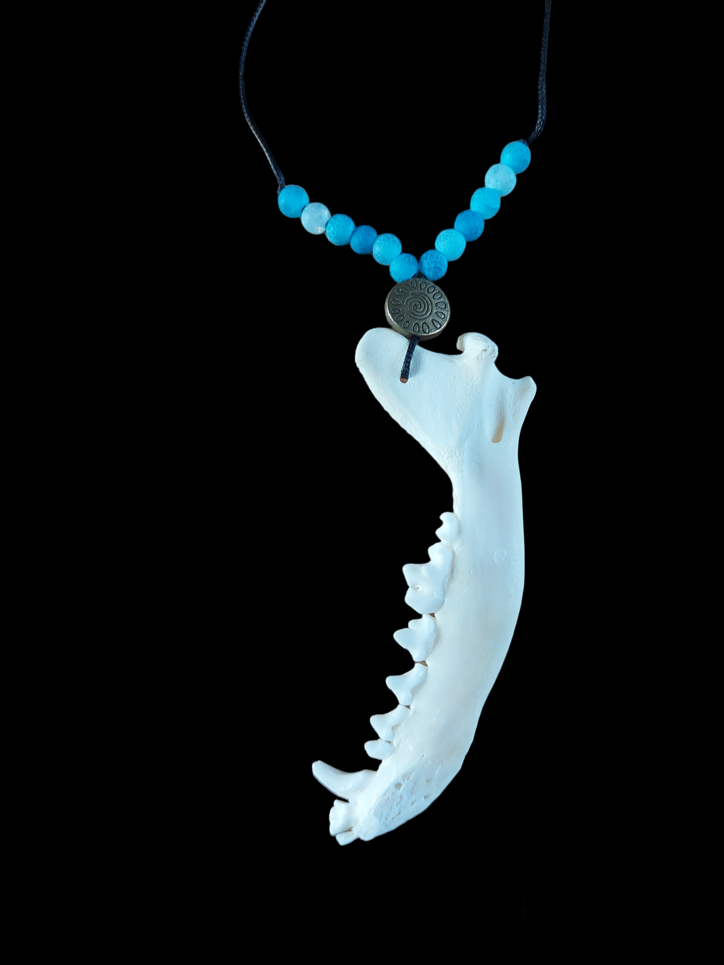 Fox jaw bone and blue agate amulet necklace