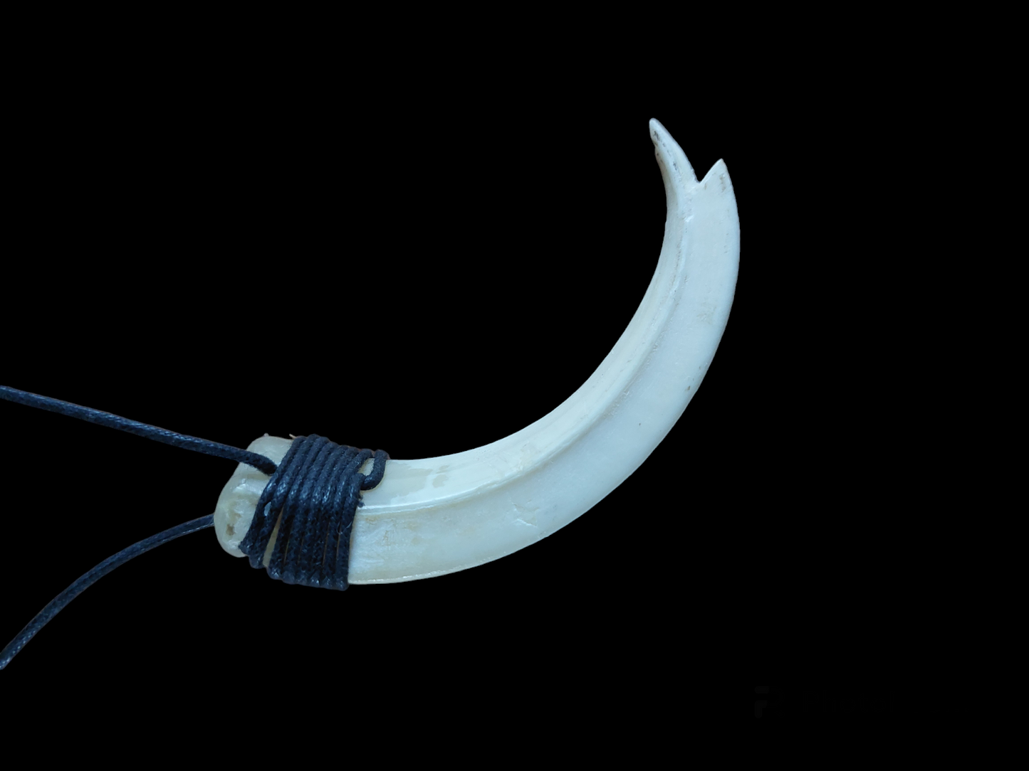 Wild boar tusk amulet necklace