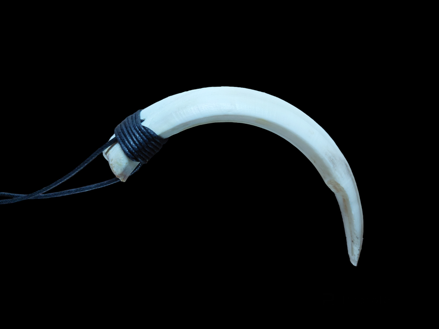 Wild boar tusk amulet necklace