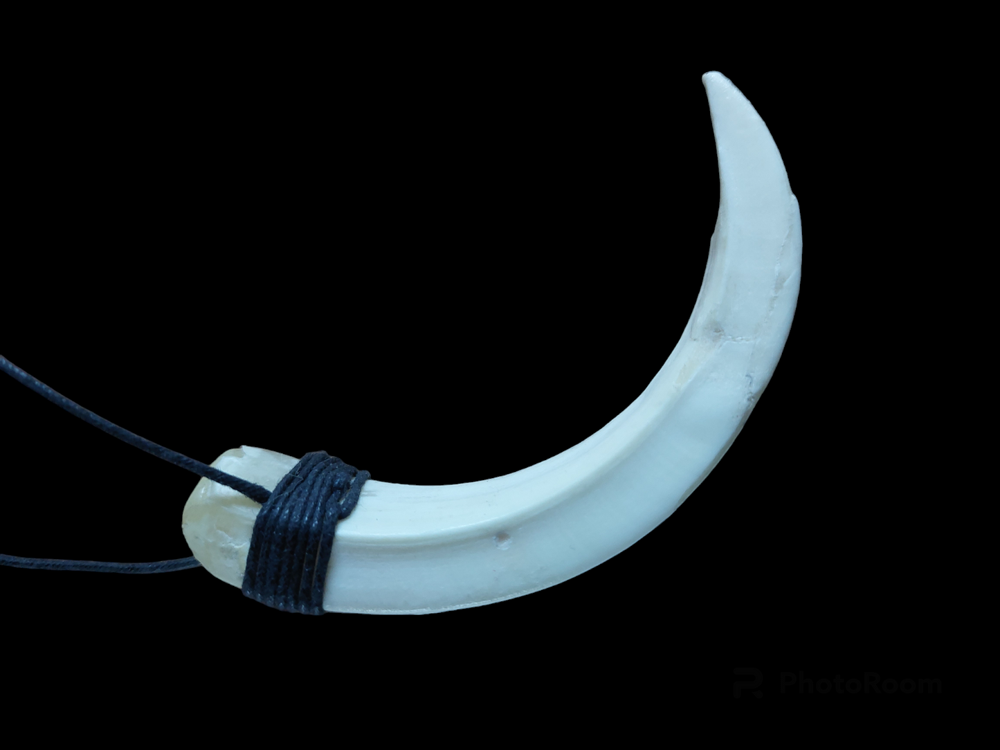 Wild boar tusk amulet necklace