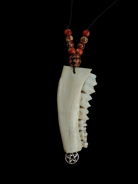 Red deer jaw bone and pentagram pendant amulet necklace
