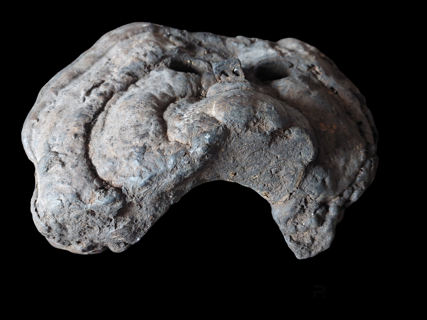 Antique Nepalese mushroom mask #1