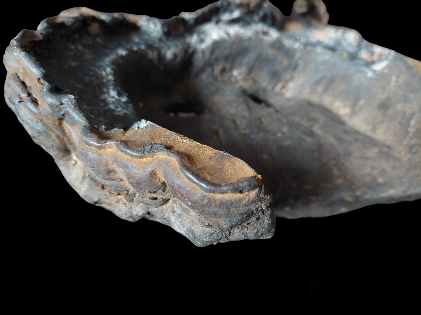 Antique Nepalese mushroom mask #1