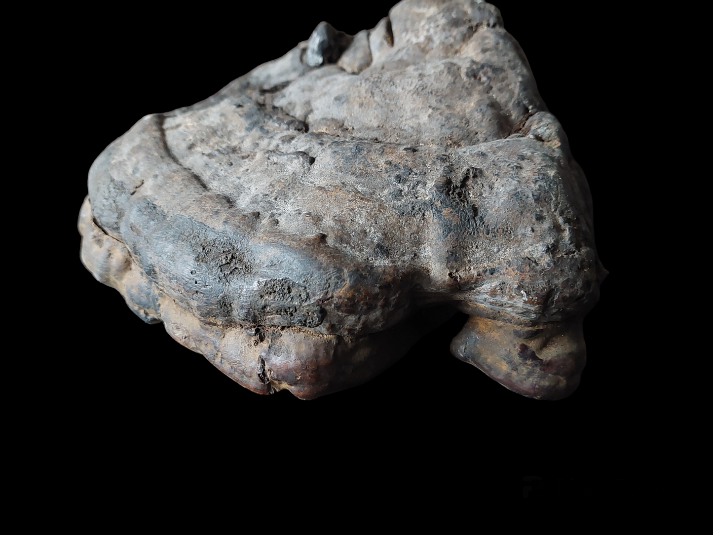 Antique Nepalese mushroom mask #1