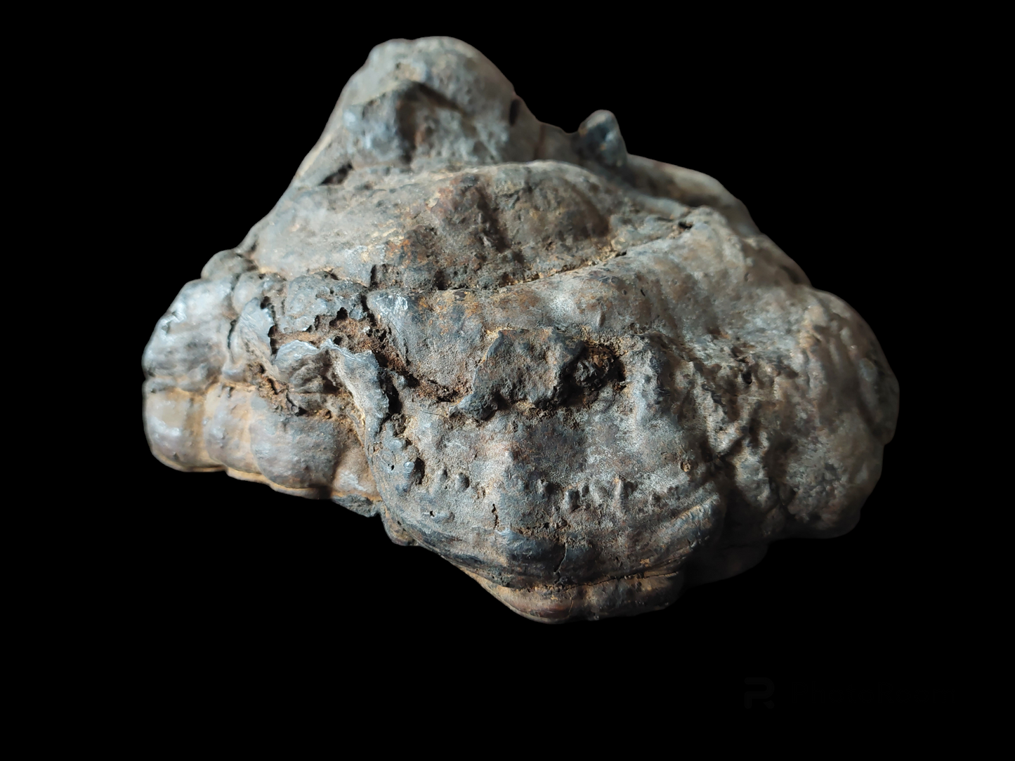 Antique Nepalese mushroom mask #1
