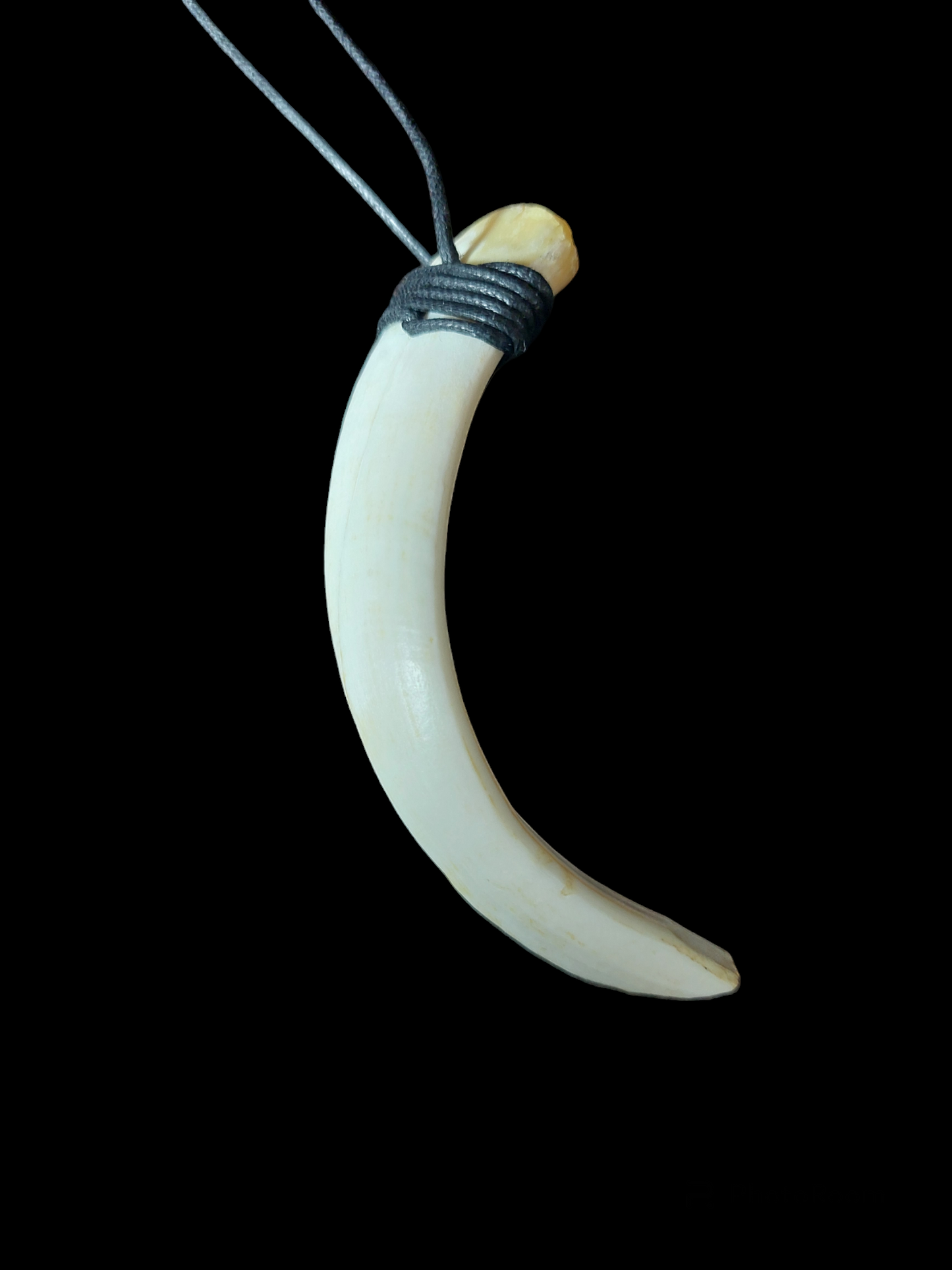 Wild boar tusk amulet necklace