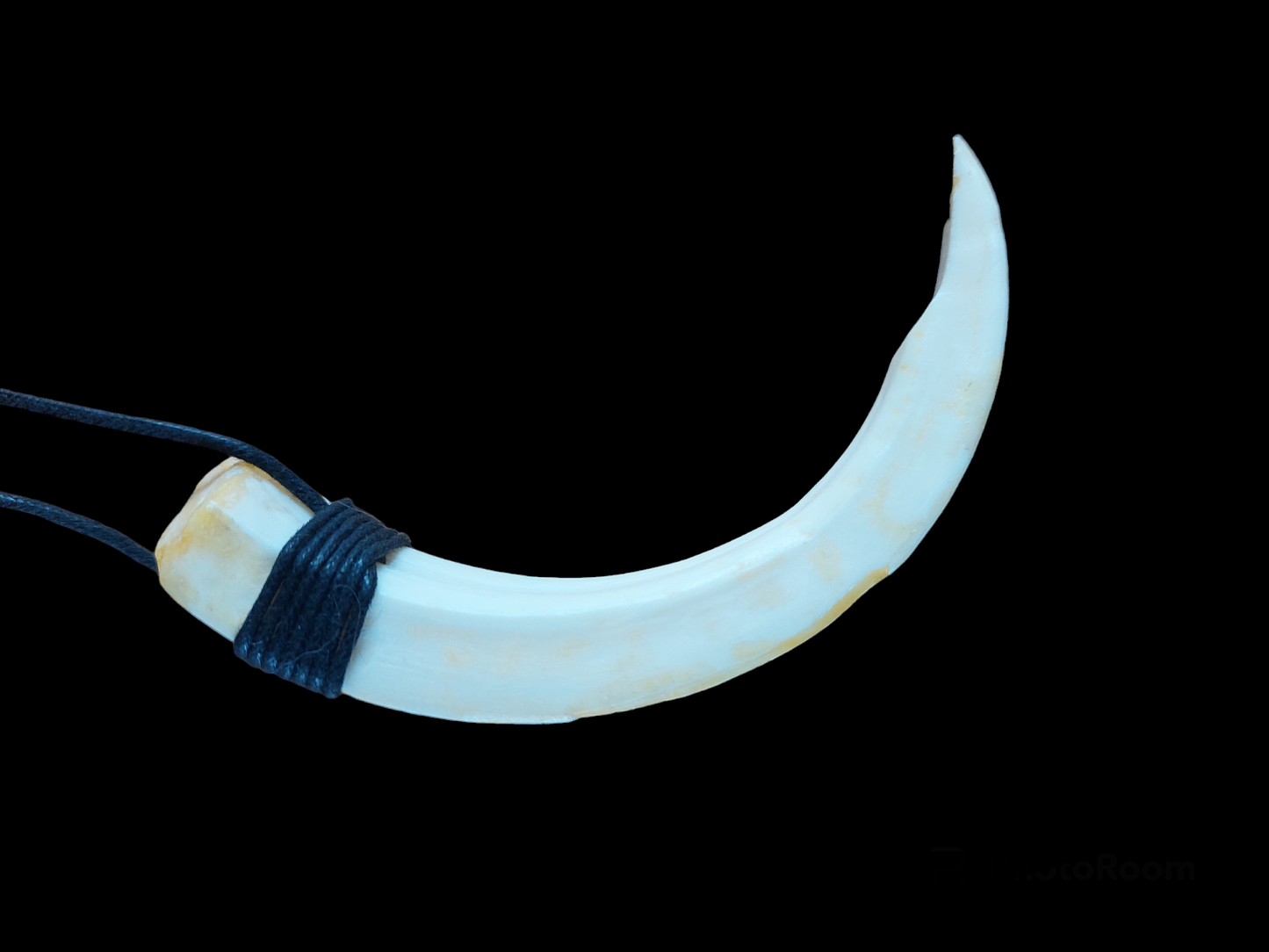 Wild boar tusk amulet necklace
