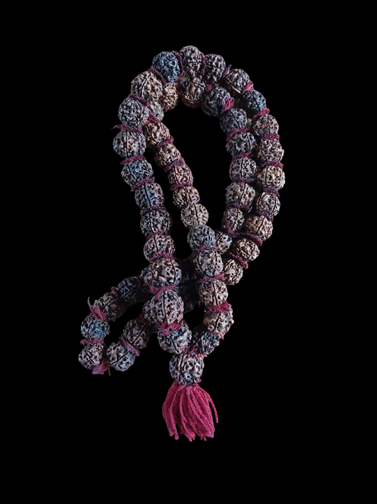 Old Nepalese shamanic rudraksha necklace #5