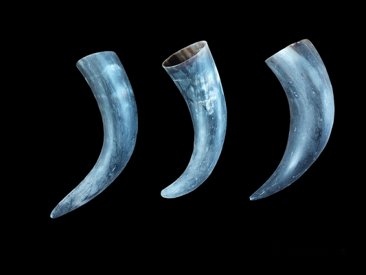 Cow horns