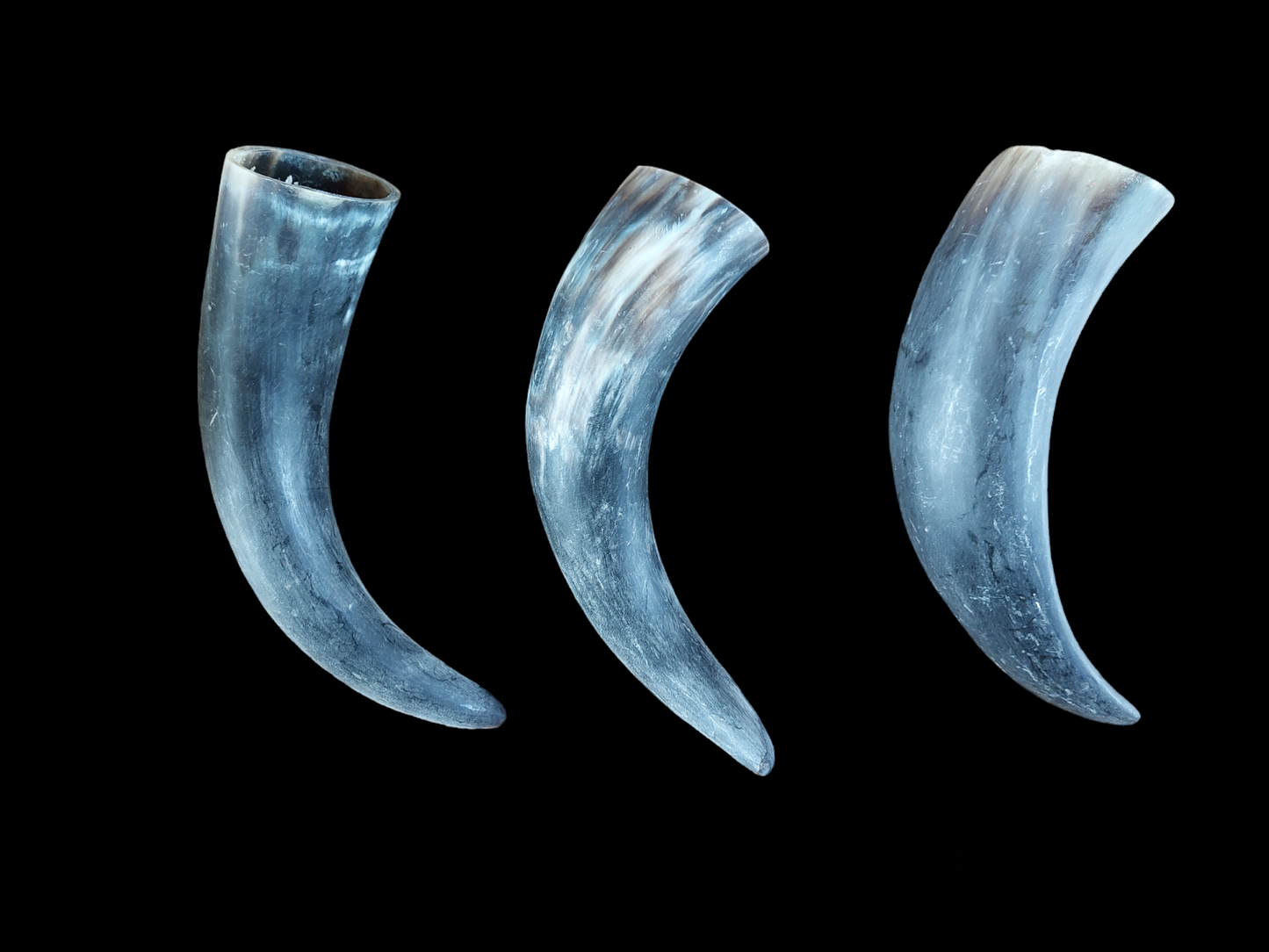 Cow horns