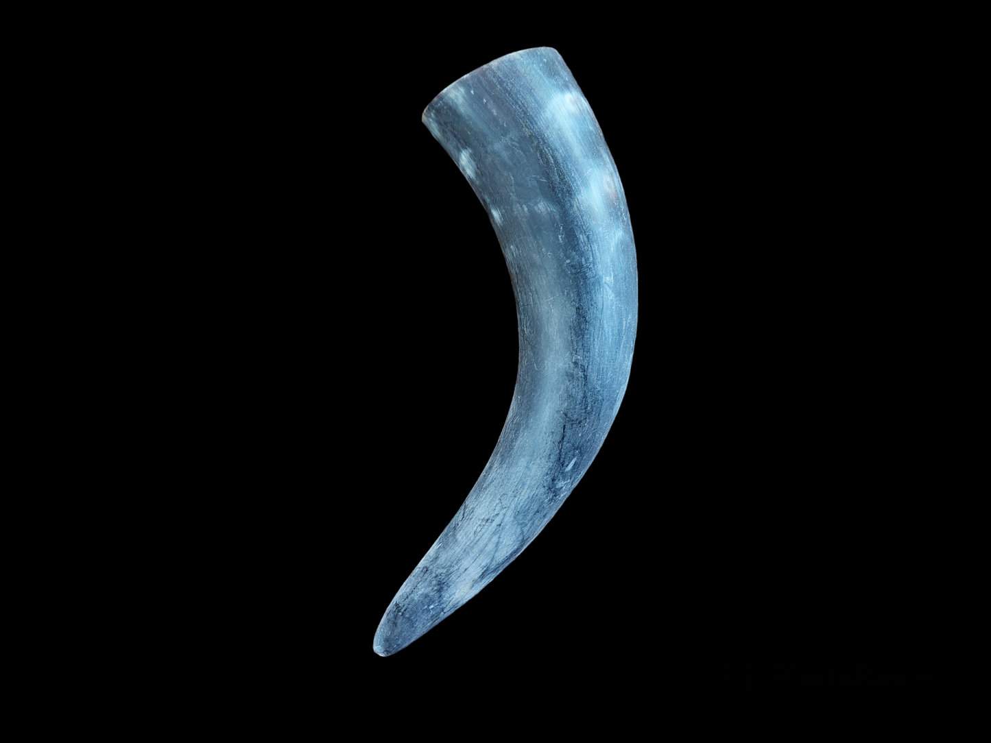 Cow horns
