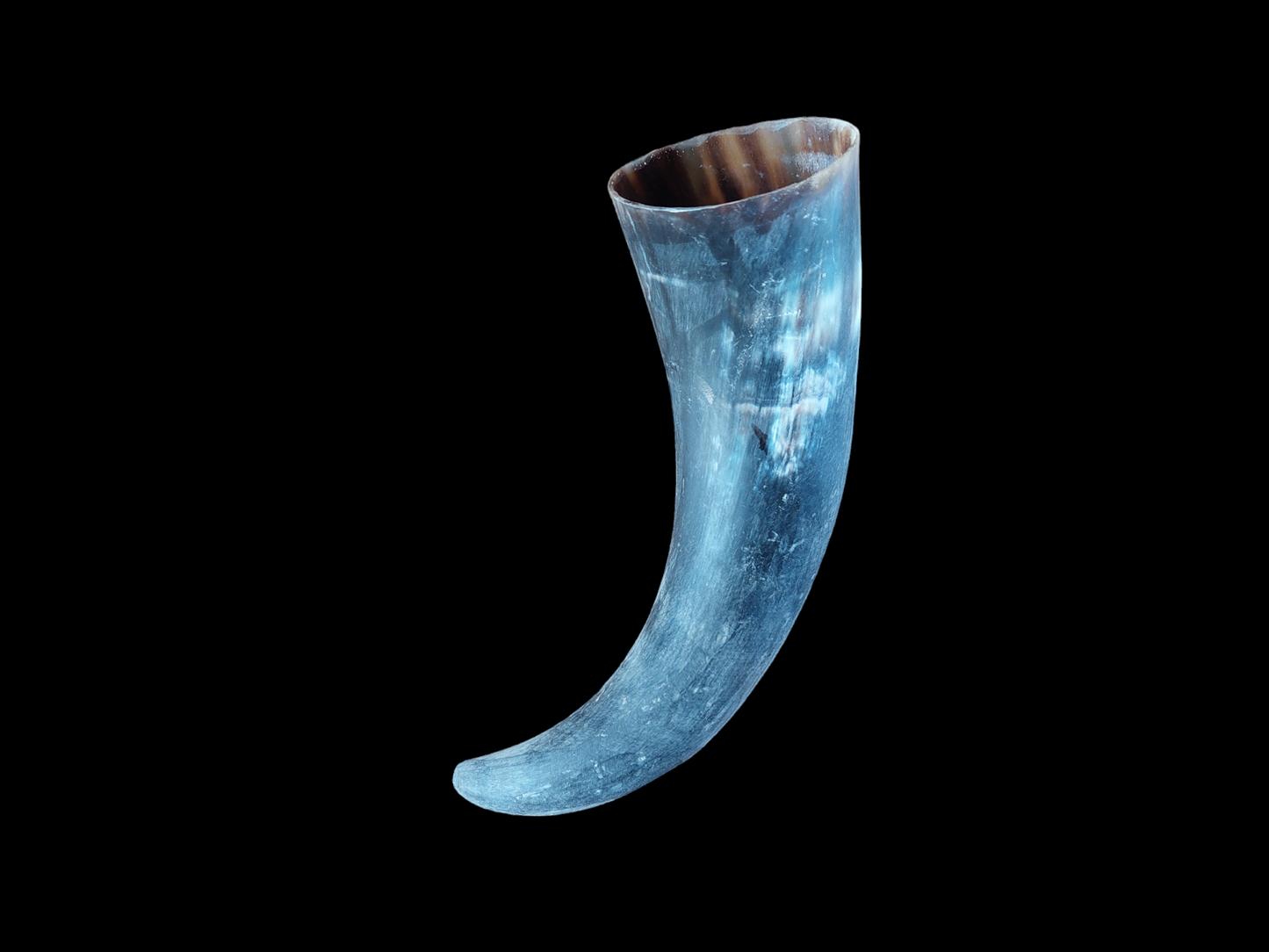 Cow horns