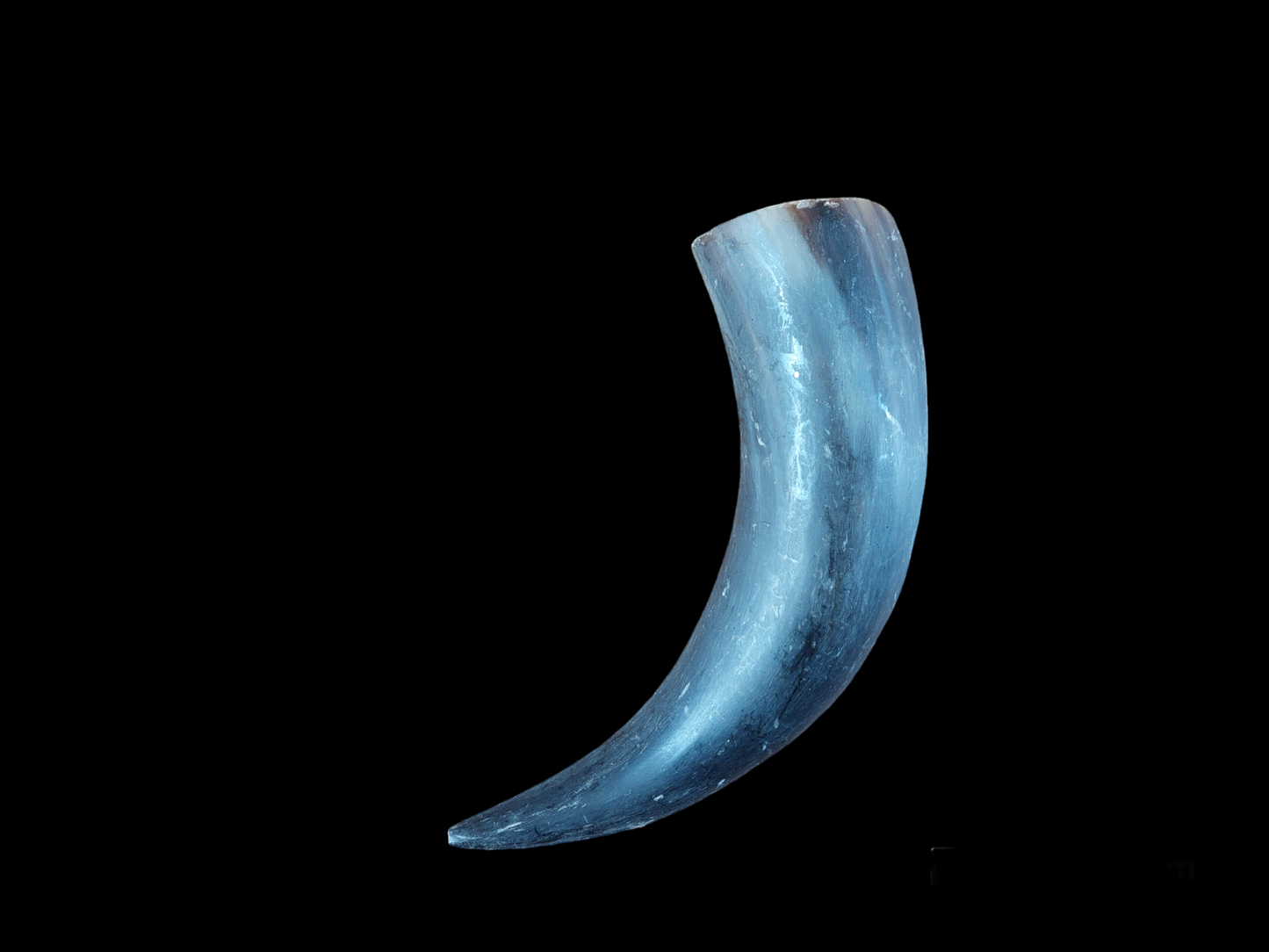 Cow horns
