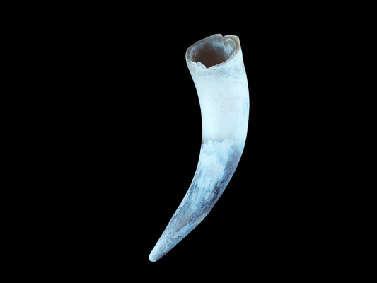 Cow horn