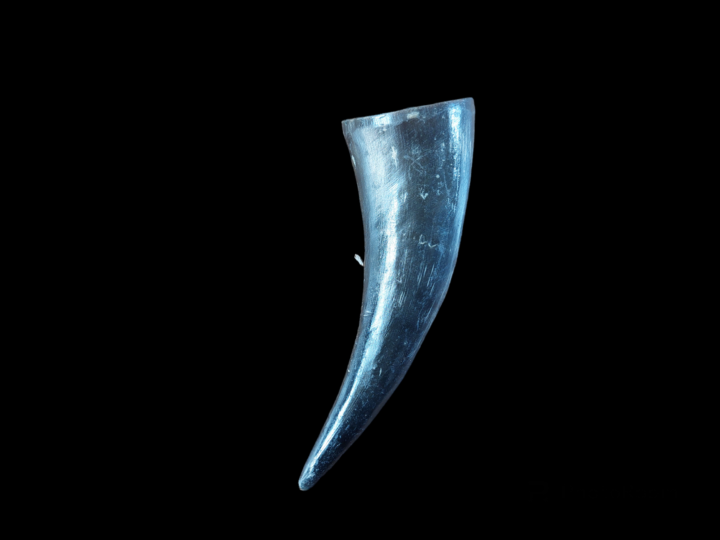 Cow horn