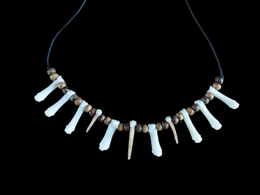 Badger claws and foot bones amulet necklace