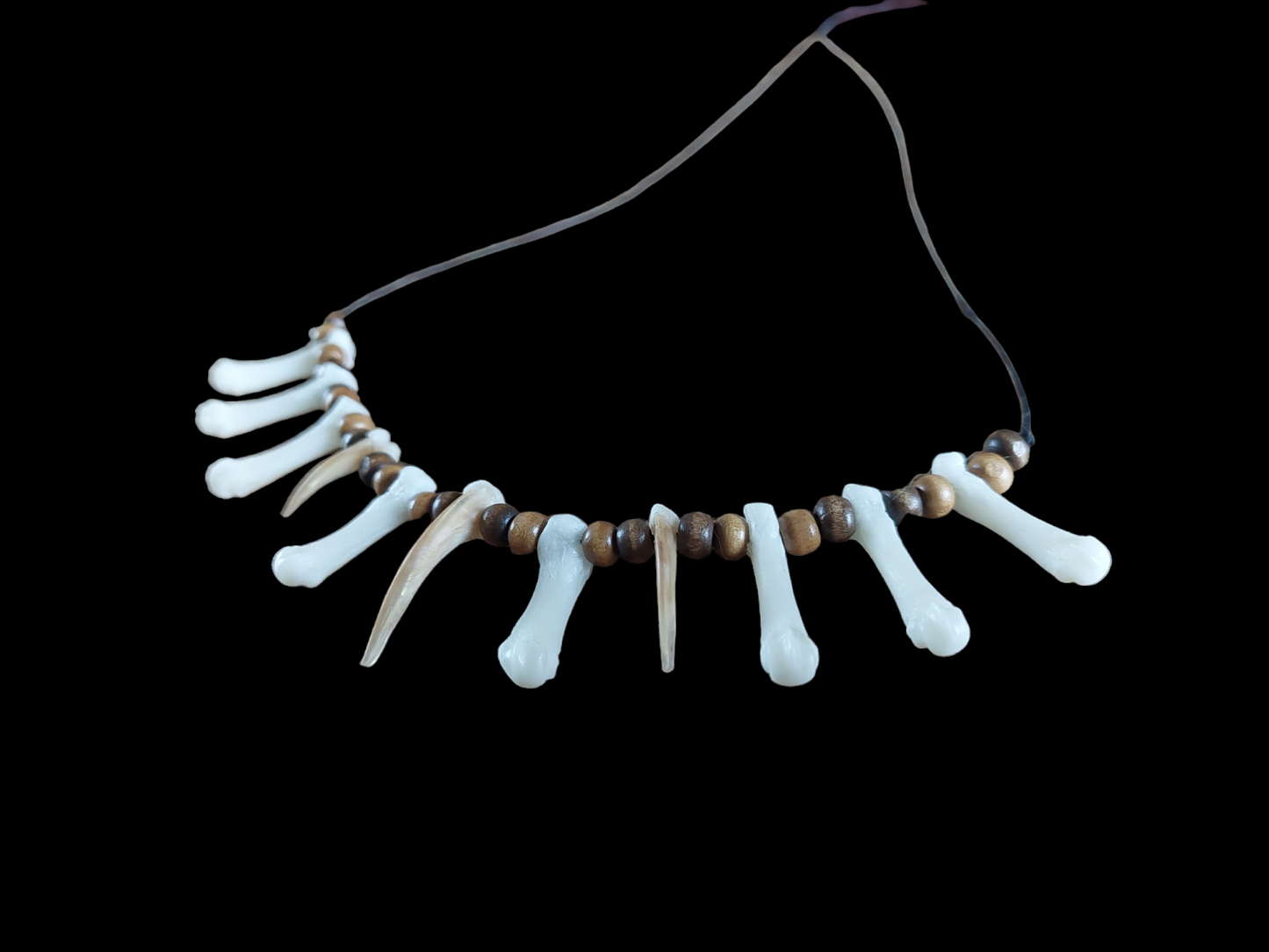 Badger claws and foot bones amulet necklace