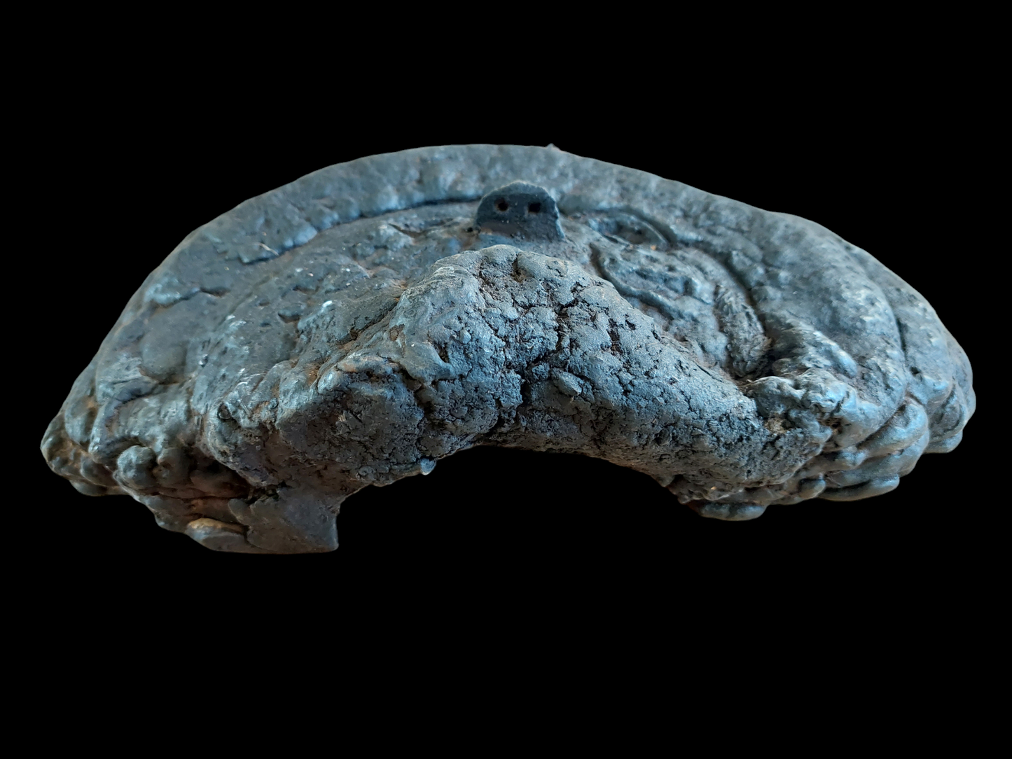 Antique Nepalese mushroom mask #3