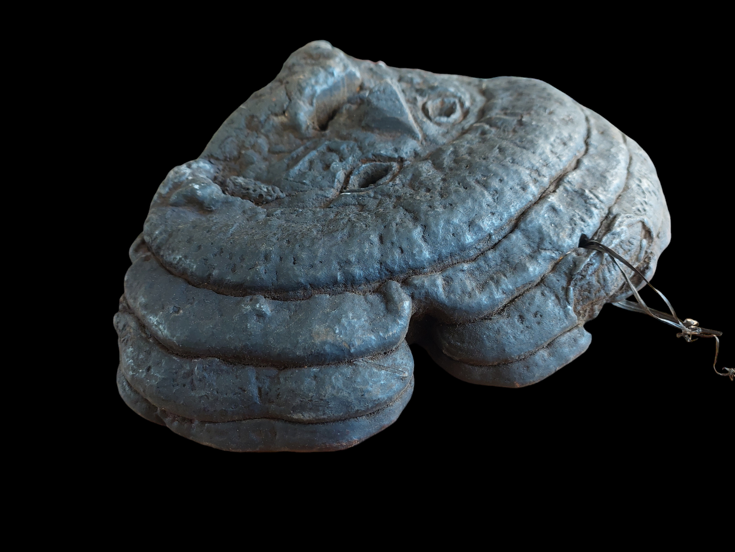 Antique Nepalese mushroom mask #3