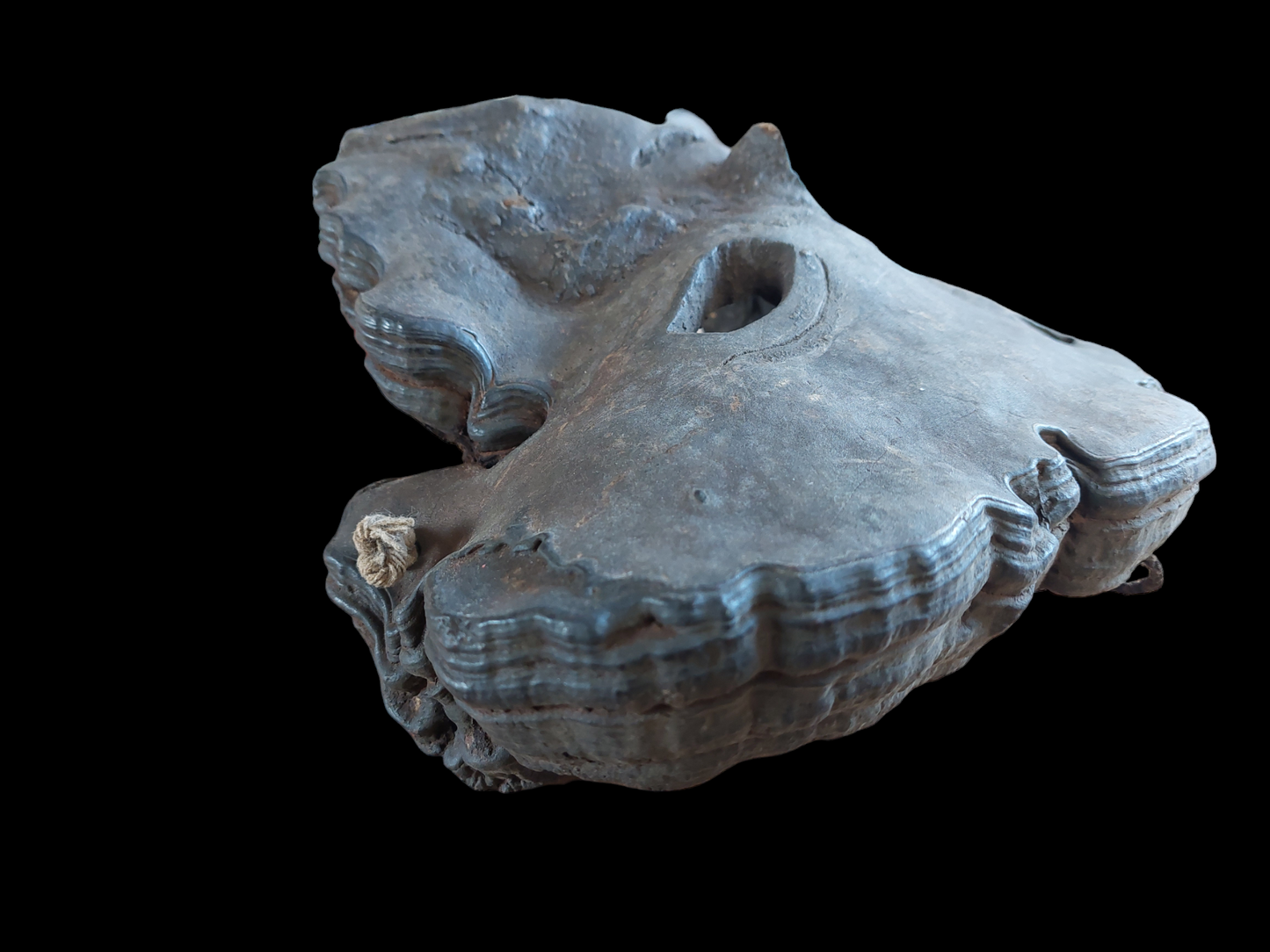 Antique Nepalese mushroom mask #4