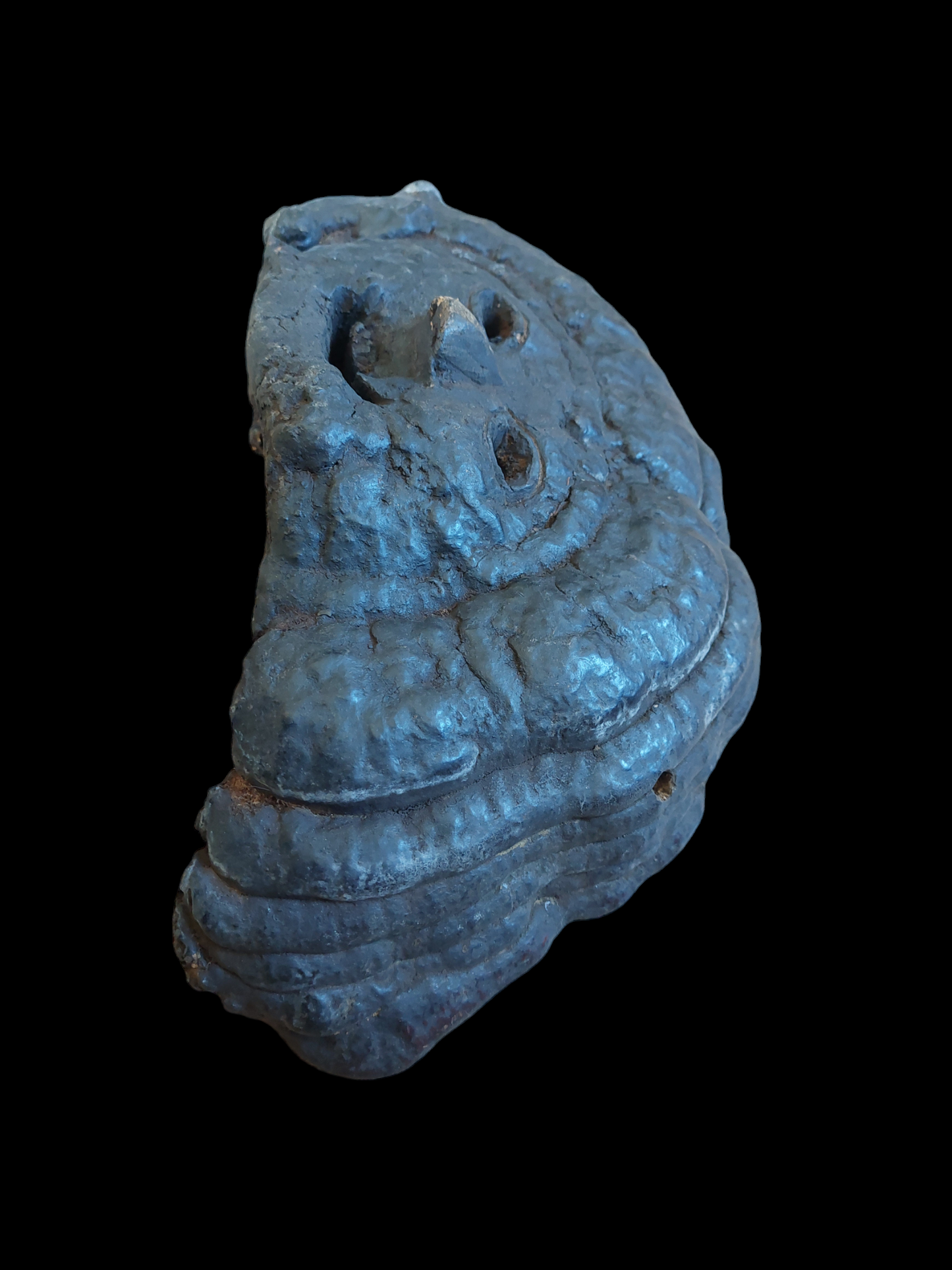 Antique Nepalese mushroom mask #5
