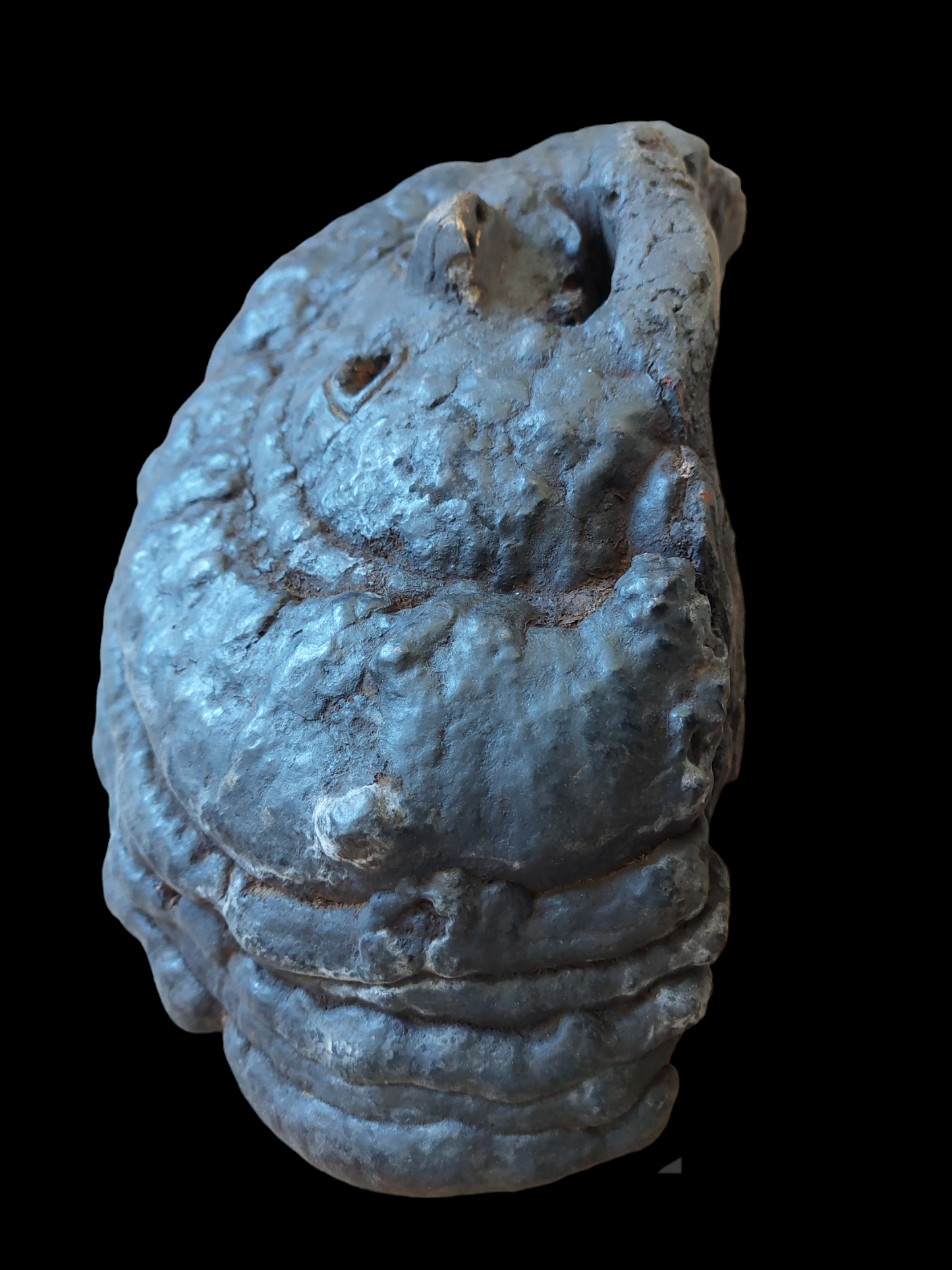 Antique Nepalese mushroom mask #5