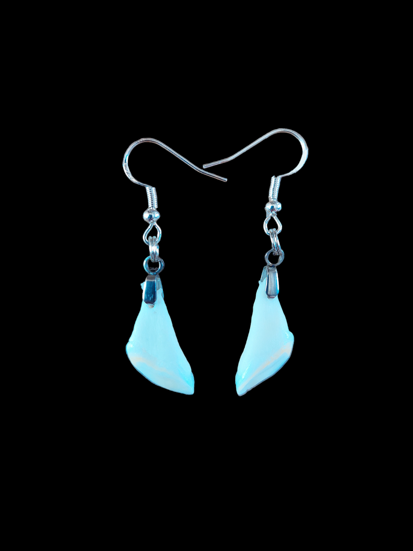 Roe deer teeth amulet earrings