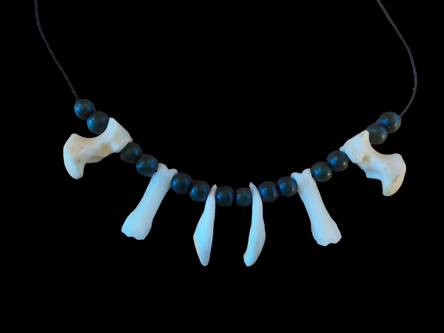 Red deer teeth and roe deer bones amulet necklace