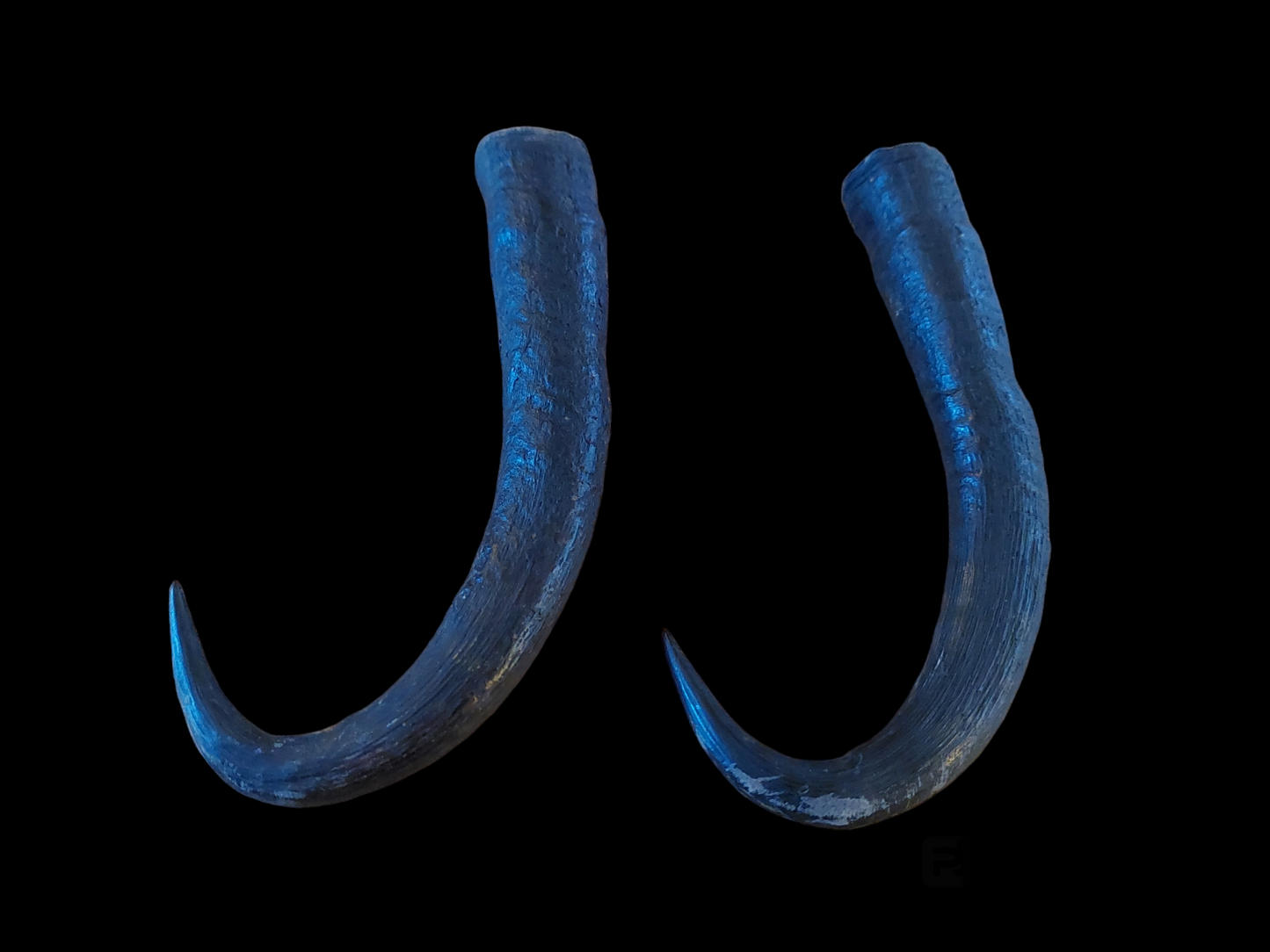 Chamois horns, set of two