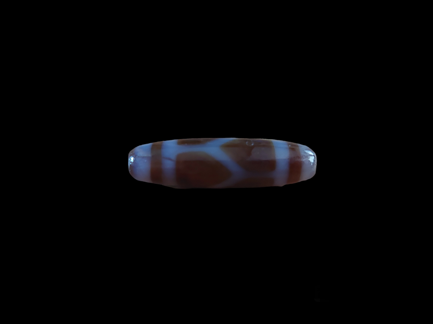 Turtle dzi bead