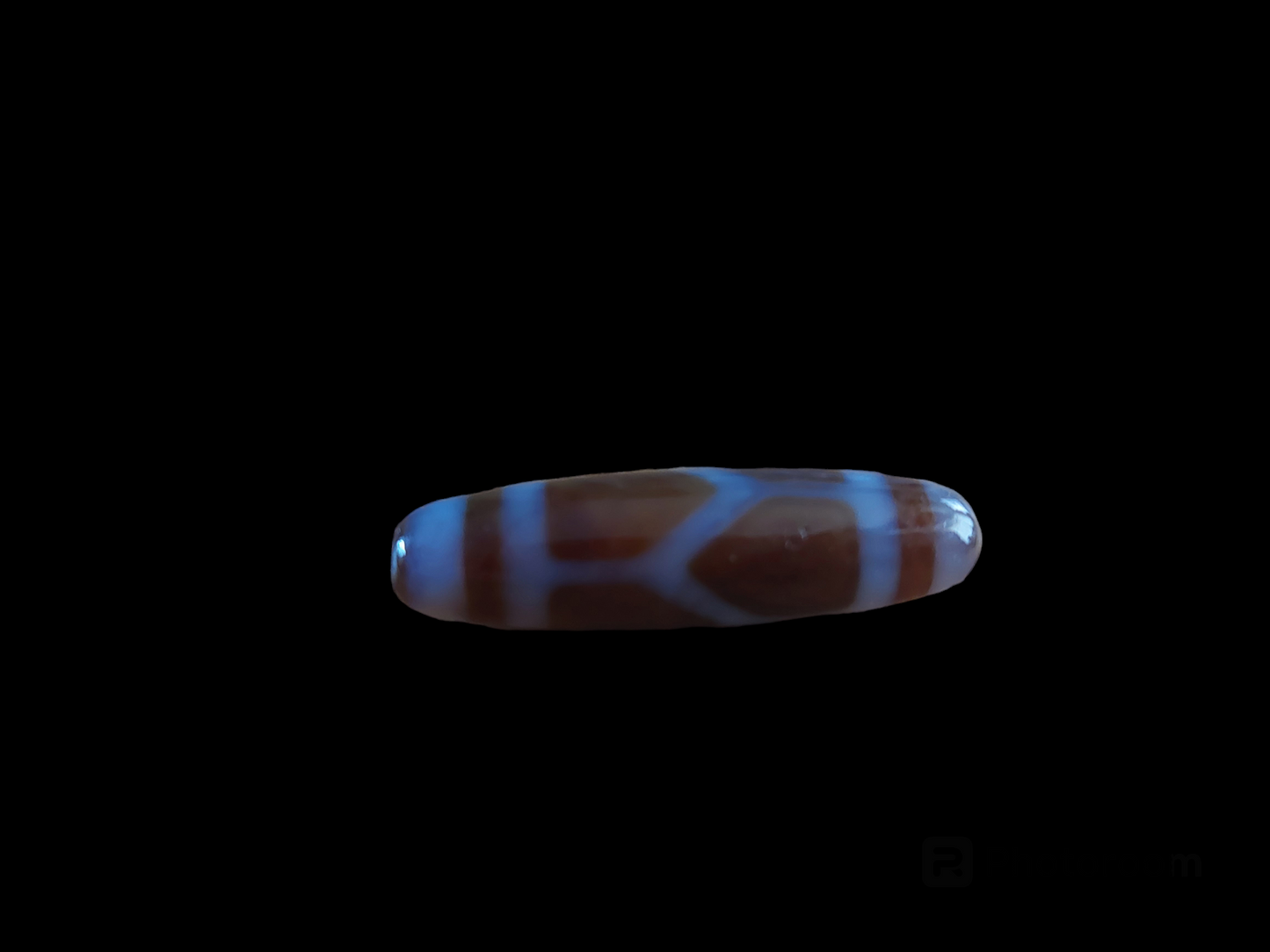 Turtle dzi bead