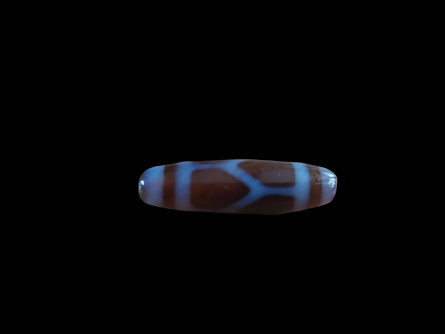 Turtle dzi bead
