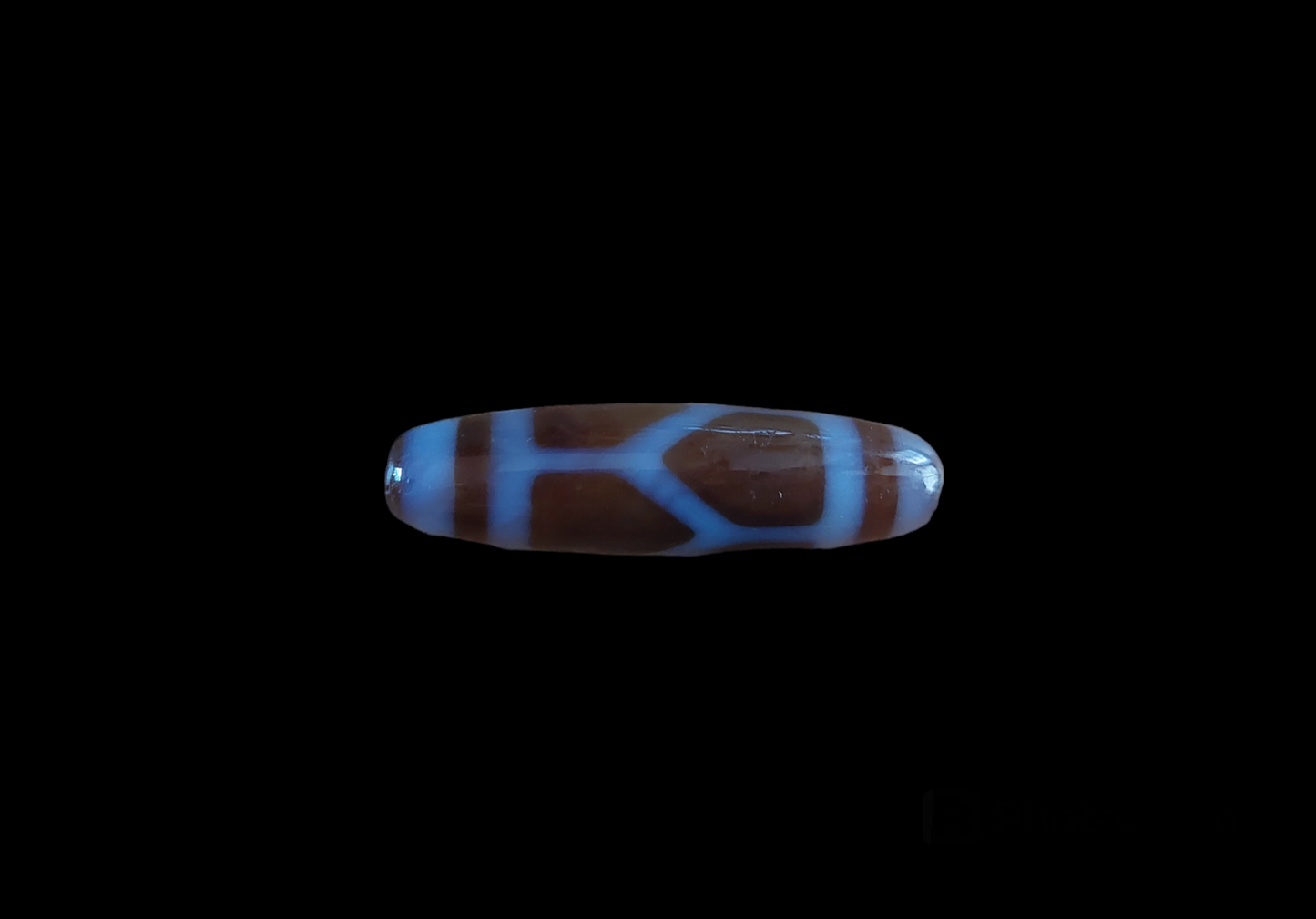 Turtle dzi bead