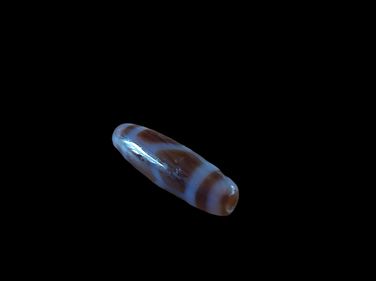 Turtle dzi bead