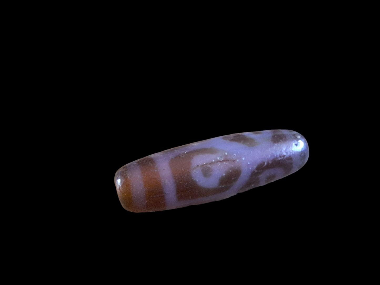 6 eye and turtle back dzi bead #2