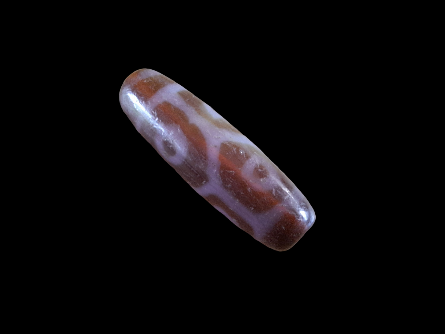6 eye and turtle back dzi bead #2