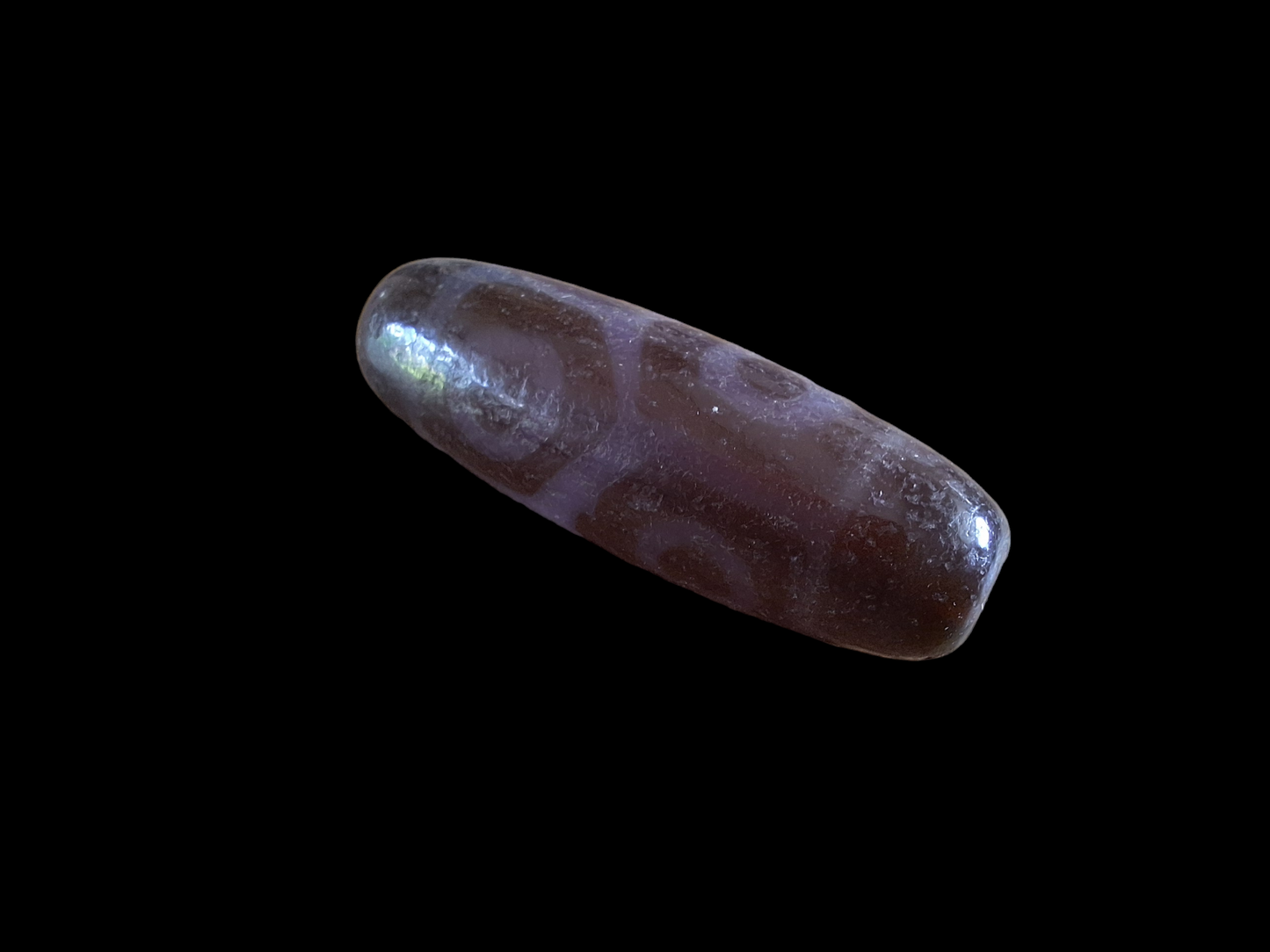 6 eye and turtle back dzi bead #3