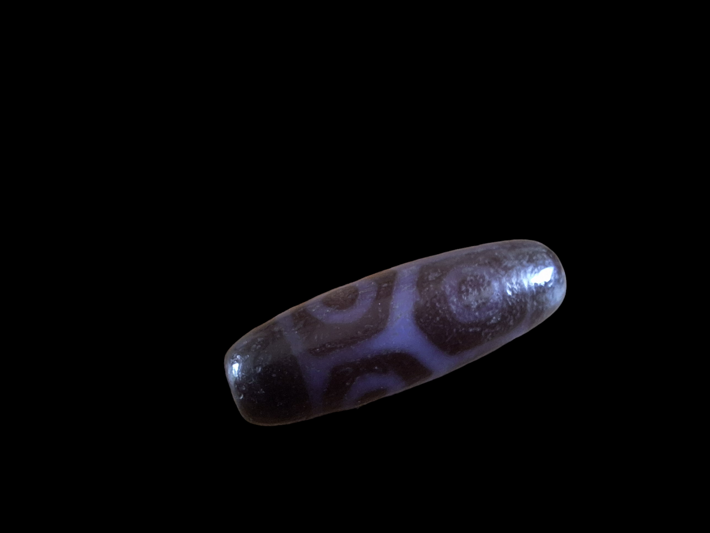 6 eye and turtle back dzi bead #3