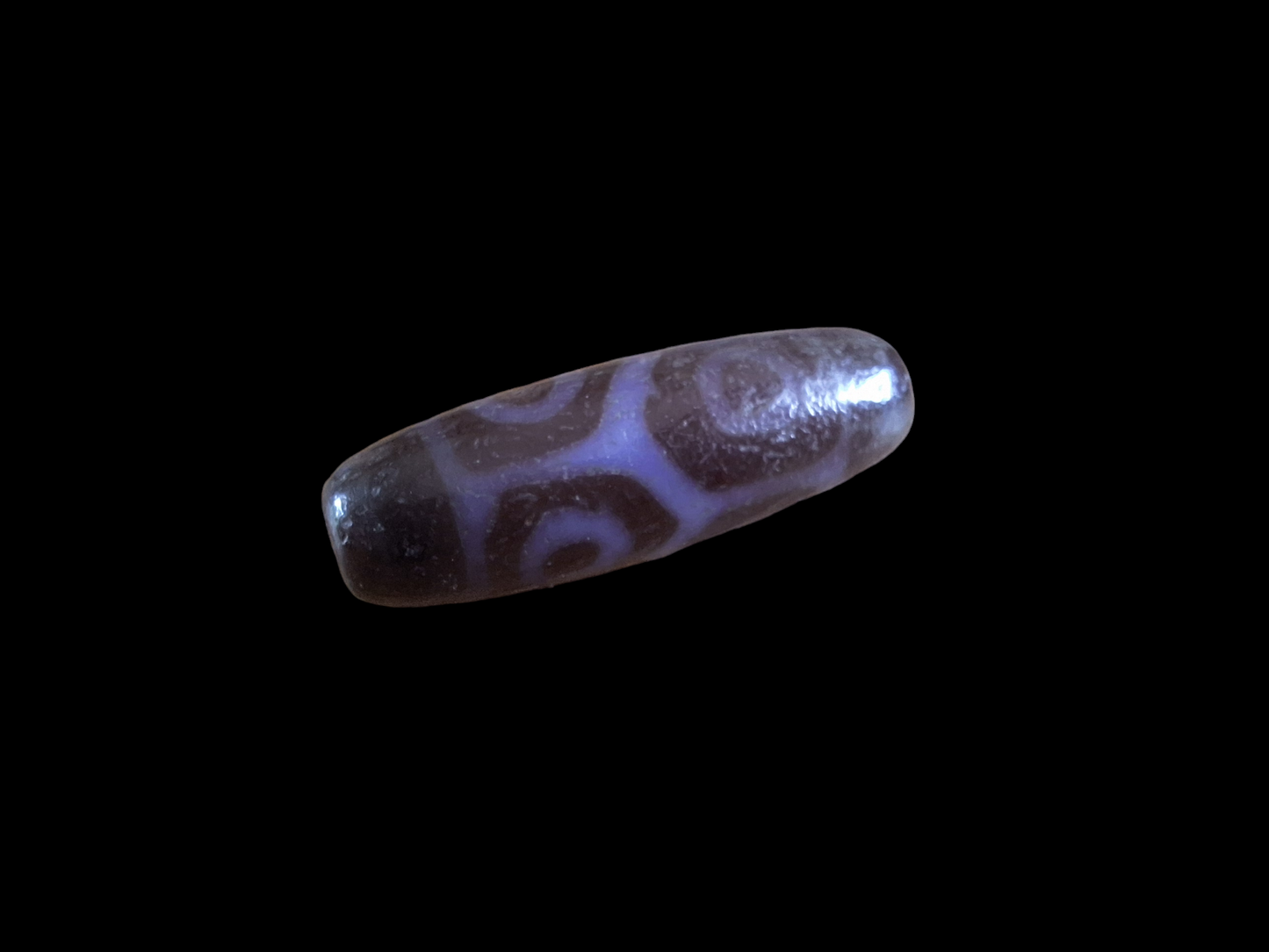 6 eye and turtle back dzi bead #3