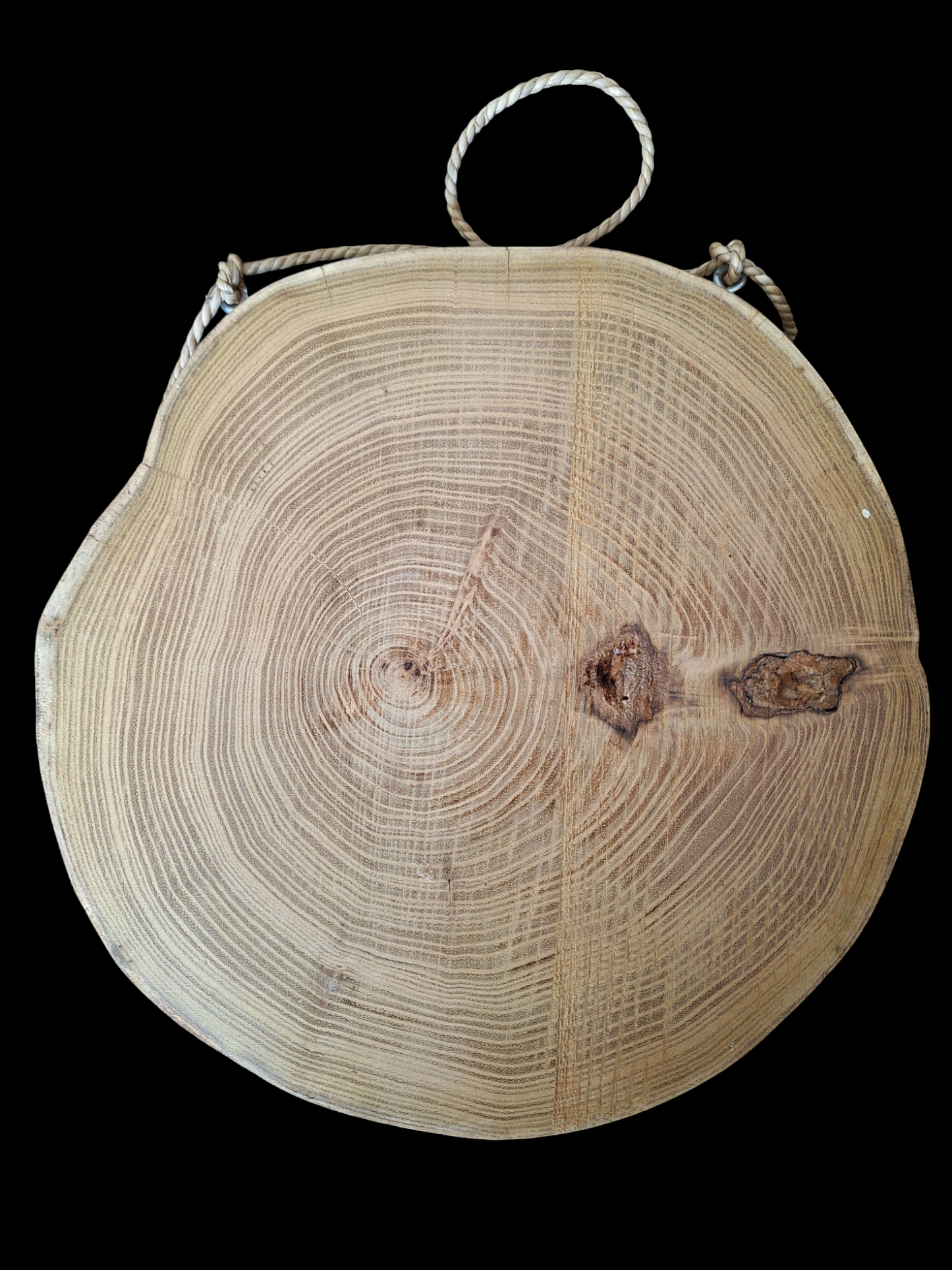 Snow owl wallhanger