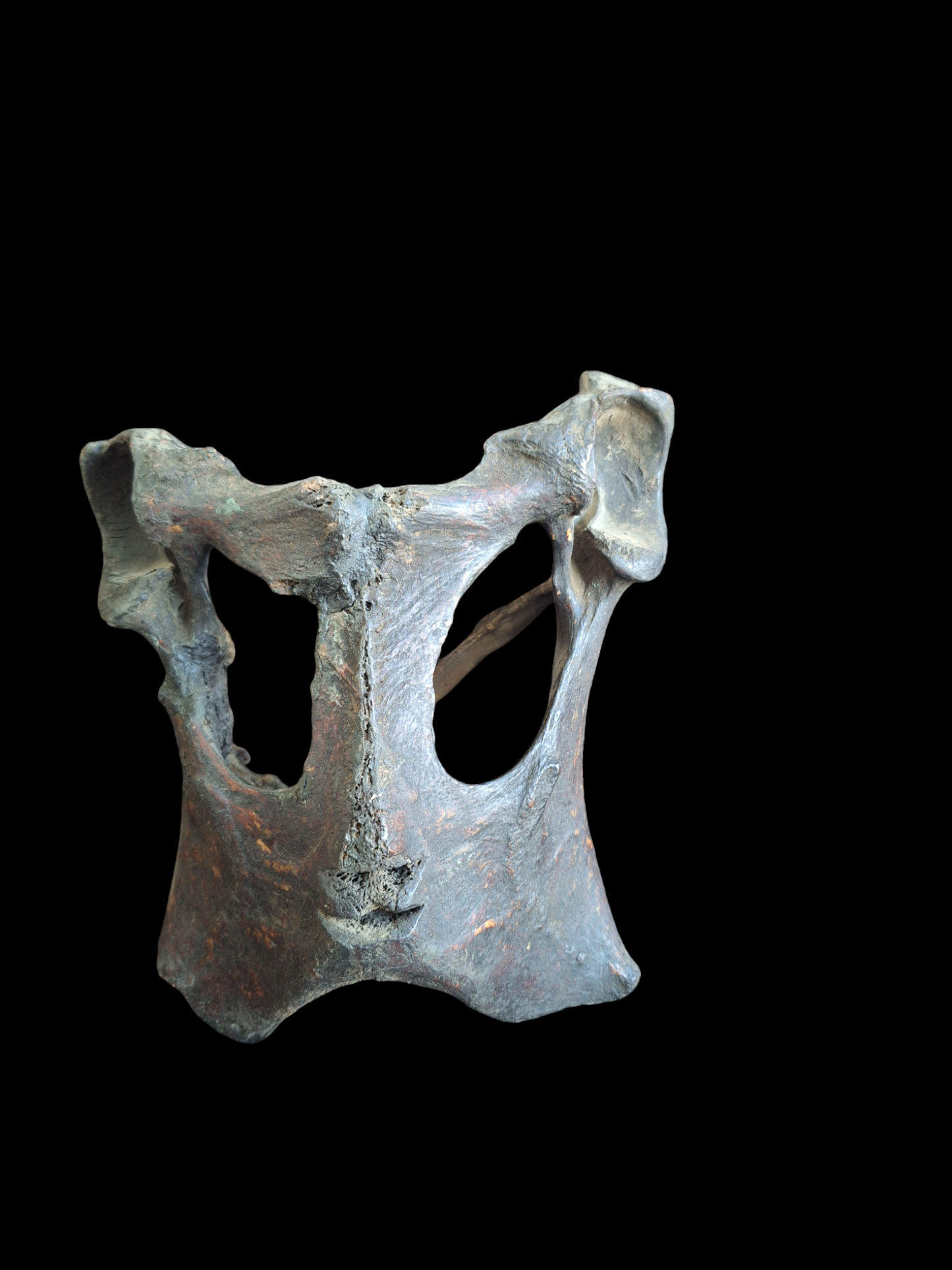 Antique Nepalese shamanic pelvic mask