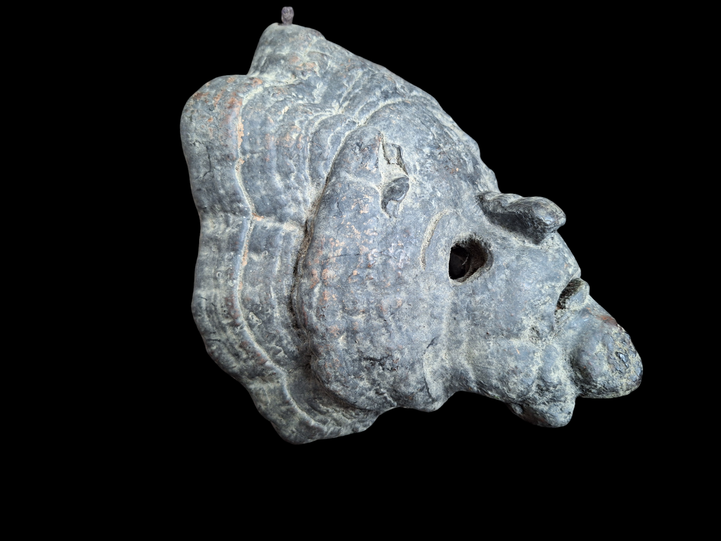 Antique Nepalese mushroom mask #6