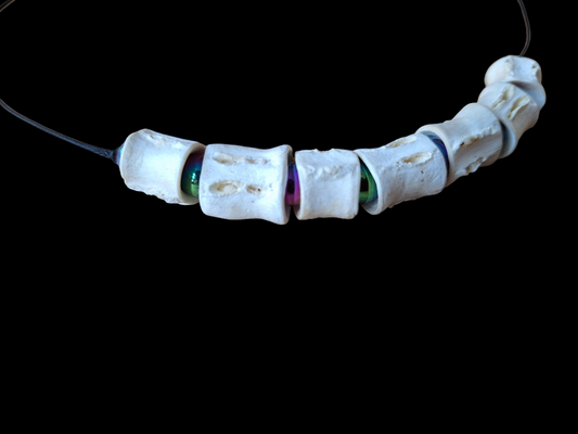 Shark vertebrae and rainbow hematite amulet necklace #1