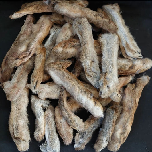 Rabbit or hare foot