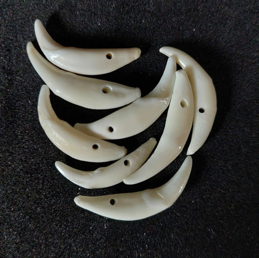 Fox fangs