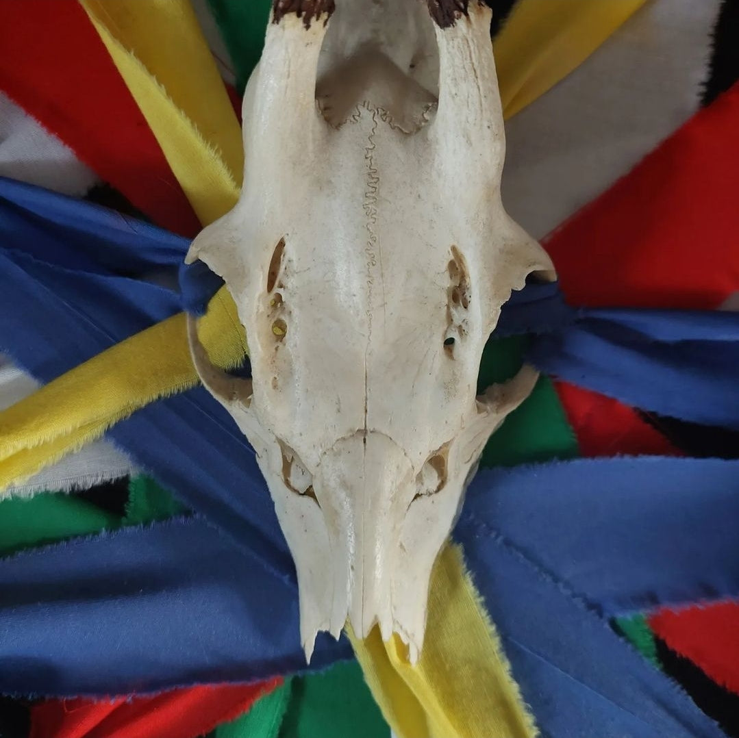 Roe deer bedroom amulet "Sweet Dreams"