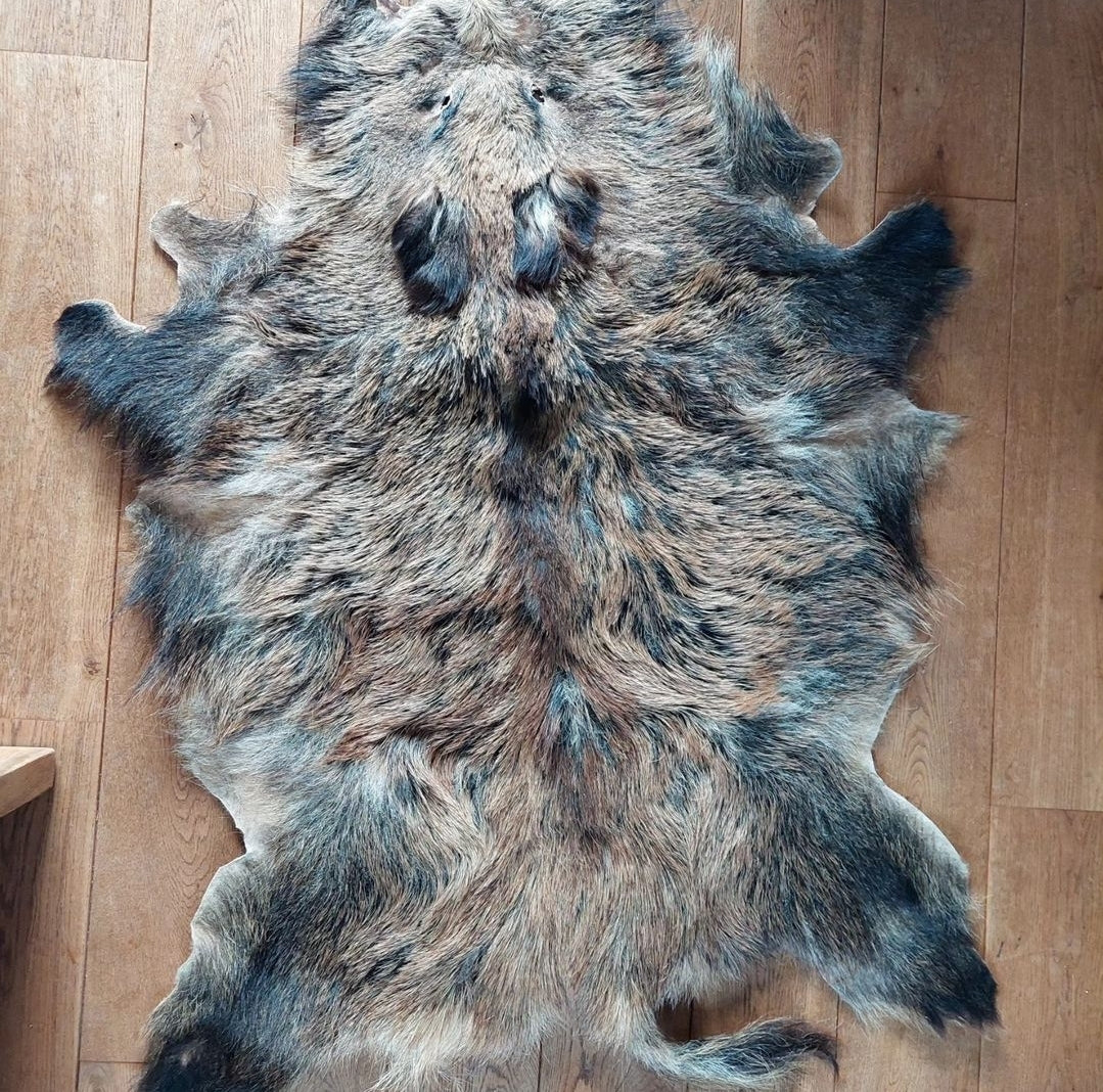 Wild boar hide #1