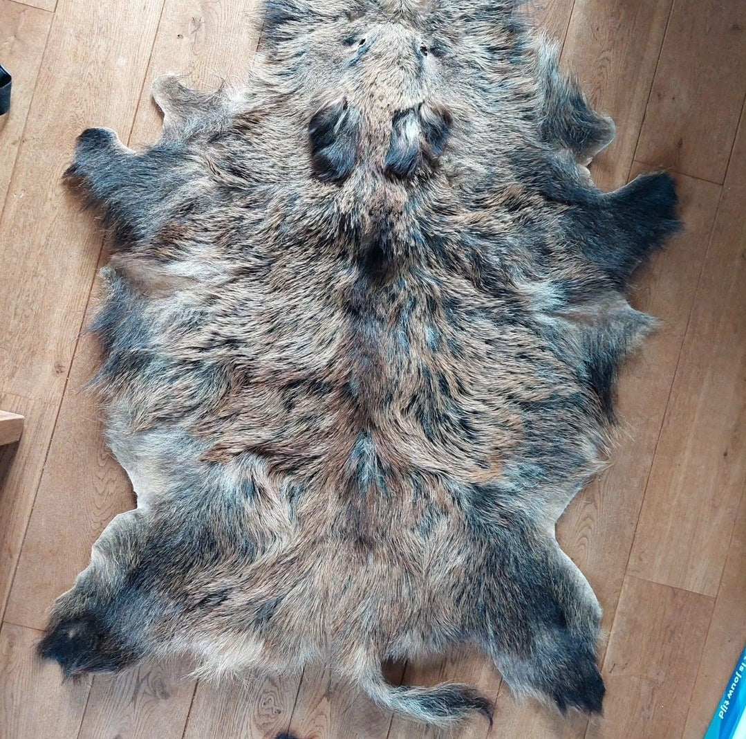 Wild boar hide #1
